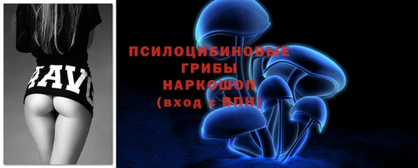 ПСИЛОЦИБИНОВЫЕ ГРИБЫ Осташков