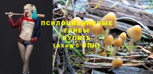 ECSTASY Алексеевка